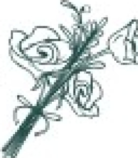 Group logo of Sincere Flowers