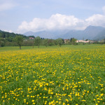 radura-del-binadone-2