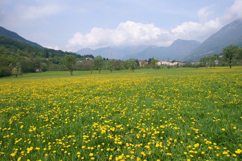 radura-del-binadone-2
