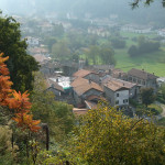 gonte