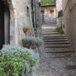 gonte-2