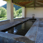 grona-2