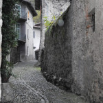 grona-3