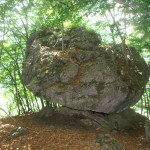 pietra-fungo