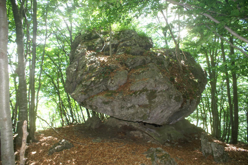 pietra-fungo