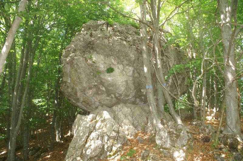 pietra-fungo-2