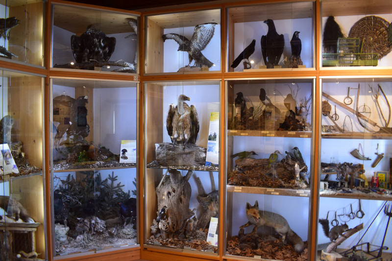 sala-flora_fauna-2