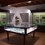 sala-fossili