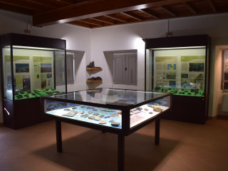 SALA FOSSILI