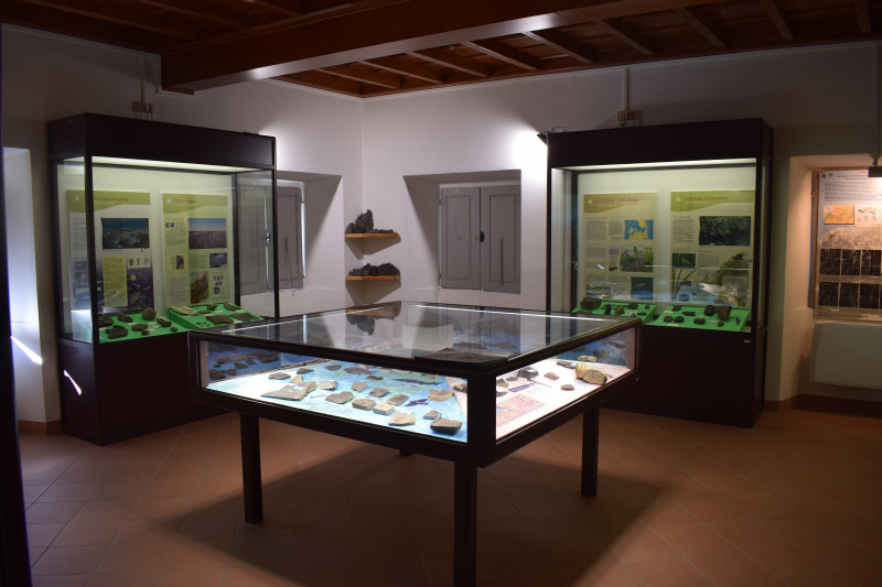 sala-fossili