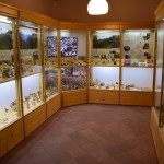 sala-micologica