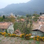 velzo