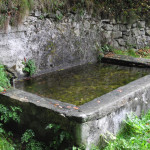 velzo-3
