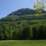 radura-del-binadone-3