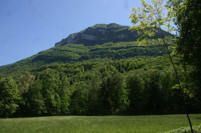 radura-del-binadone-3