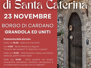 WhatsApp Image 2025-11-07 at 19.01.56